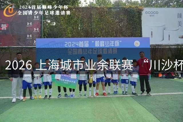 2026 上海城市业余联赛 “川沙杯” 楼宇白领旱地冰壶挑战赛圆满收官